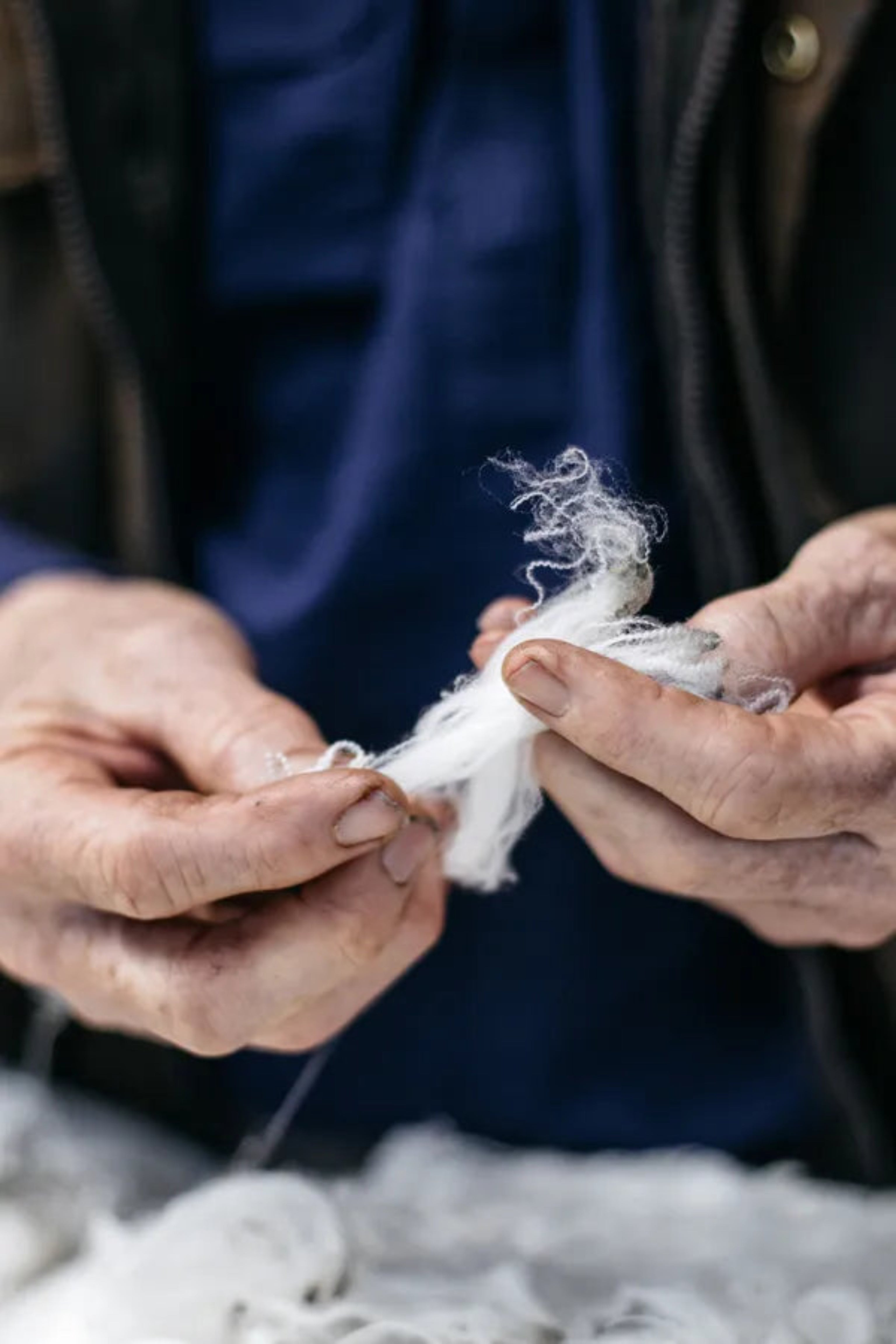 <p>Methane-Reduced Wool</p>